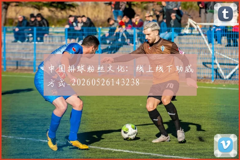中国排球粉丝文化：线上线下助威方式_20260526143238