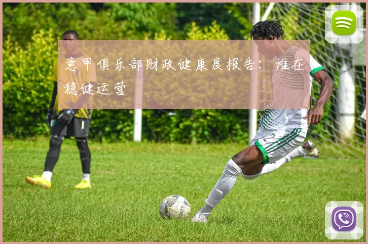 意甲俱乐部财政健康度报告：谁在稳健运营