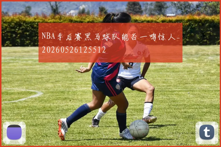 NBA季后赛黑马球队能否一鸣惊人_20260526125512