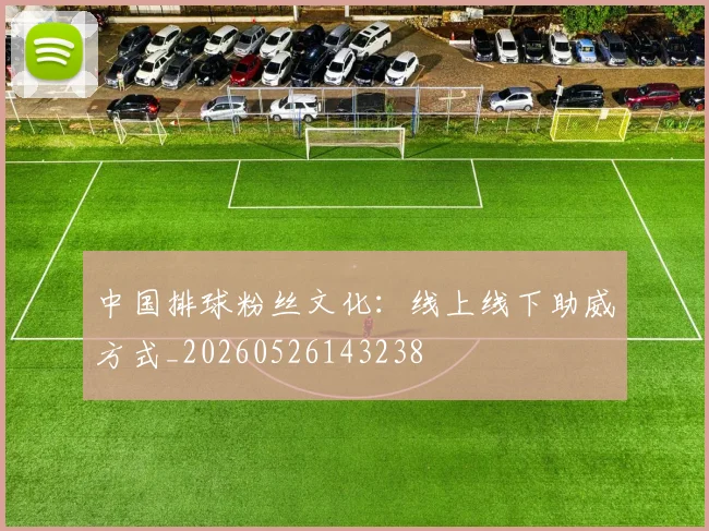 中国排球粉丝文化:线上线下助威方式_20260526143238